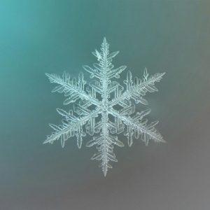 Kodėl mokslininkai žavisi snaigėmis: tai tikras gamtos stebuklas apie kurį žinome labai mažai