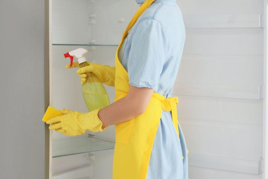 Kodėl svarbu reguliariai išvalyti šaldytuvą