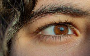 Kokios savybės būdingos rudaakiams ir kokius talismanus jiems vertėtų rinktis?