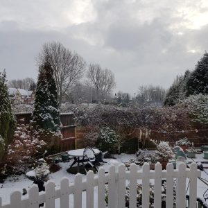 Kruopos lysvėse: kodėl patyrę daržininkai jas beria žiemą