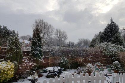 Kruopos lysvėse: kodėl patyrę daržininkai jas beria žiemą