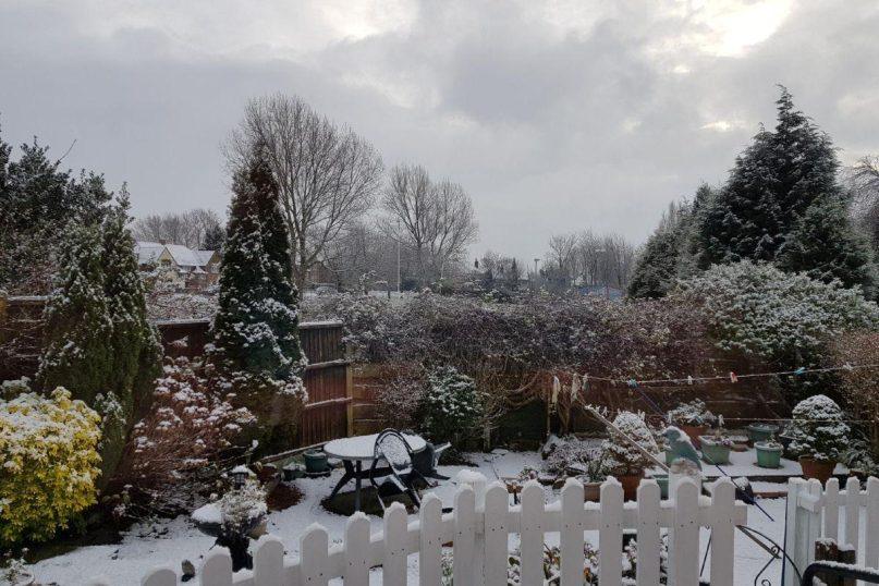 Kruopos lysvėse: kodėl patyrę daržininkai jas beria žiemą