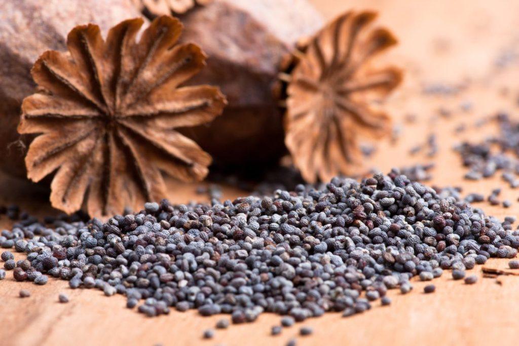 Kūčiukai ar panetonė? Šventinių kepinių dvikova, kurie desertai šiemet karaliauja ant Kalėdų stalo. Kūčiukų populiarumas auga