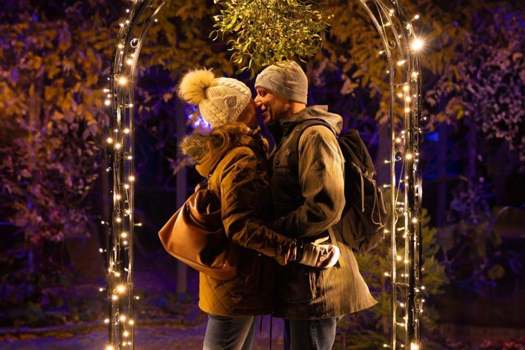 Kurie Zodiako ženklai sutiks savo meilę 2026 metais? Liūtas