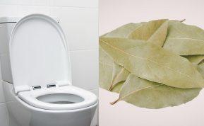 Lauro lapas tualete: paprastas triukas, kuris veikia