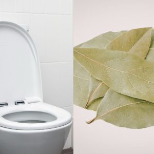 Lauro lapas tualete: paprastas triukas, kuris veikia