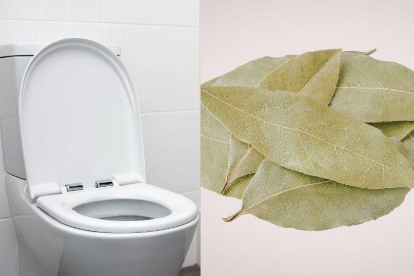 Lauro lapas tualete: paprastas triukas, kuris veikia