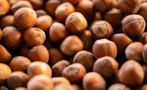 Lazdyno riešutų nauda ir žala žmogaus organizmui