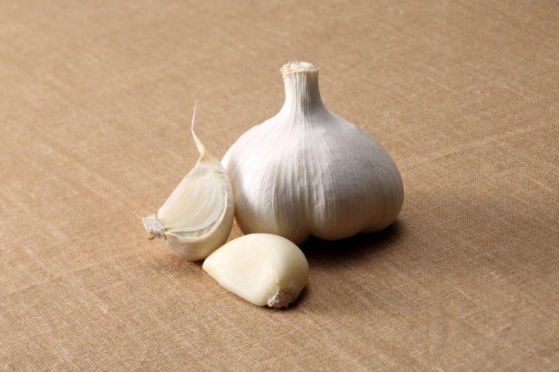 Lengvai namuose užauginkite česnakus: jums nebereikės jų pirkti parduotuvėje!