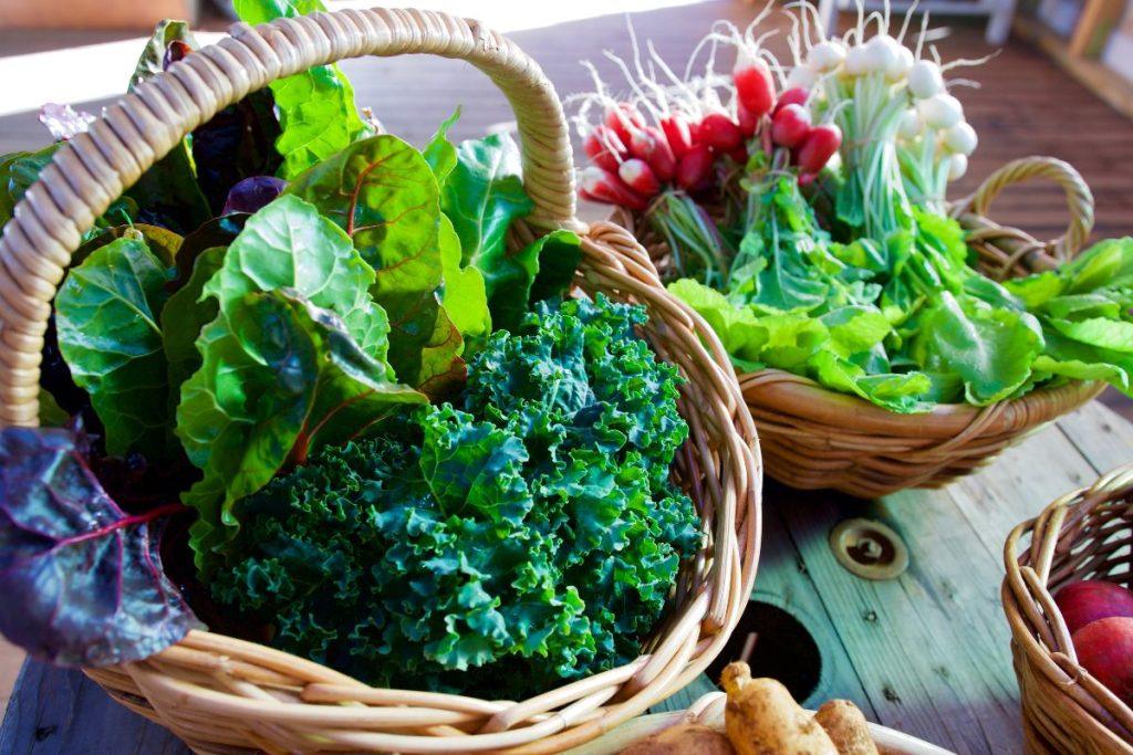 Maistinė vertė ir kodėl lapinės daržovės yra supermaistas?