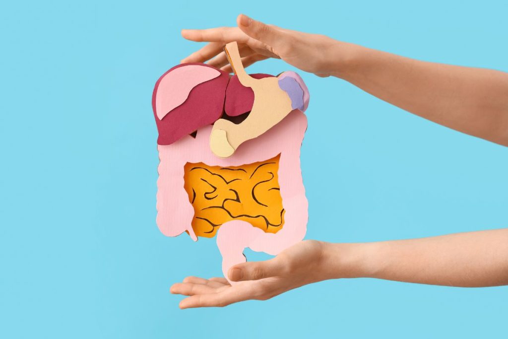 Mėnuo be alkoholio: kas iš tikrųjų nutinka tavo kūnui ir kodėl daugelis nebenori grįžti atgal. Geriau veikiant virškinimo sistema