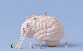 Mokslininkai atvirai: geresnio smegenų mankštos metodo nei šis - dar neradome