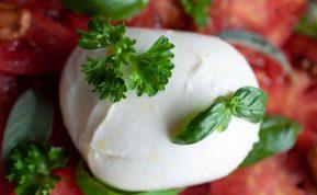 Mozarella sūris vos per 30 minučių: dar skanesnis nei iš parduotuvės!