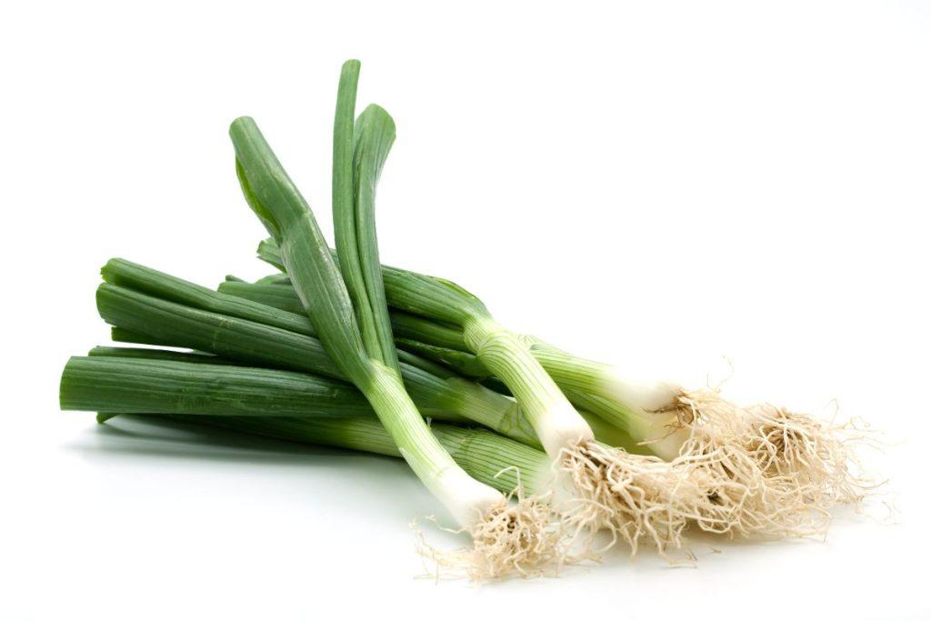 Nauja kavos manija užkariauja pasaulį. Tikrai ne kiekvienas išdrįstų paragauti. Kavos gamybos eiga