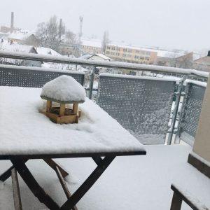 Nelaikykite maisto balkone: priežastis gali būti pavojingesnė nei manote