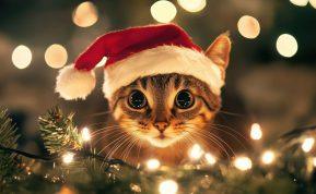 Neskubėkite pirkti naujų: šis triukas padės atgaivinti senas girliandas akimirksniu