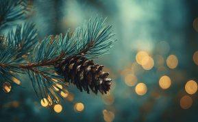 Nuo žvakių iki išmaniųjų šviesų: kas iš tikrųjų slypi už kalėdinių lempučių gaminio?