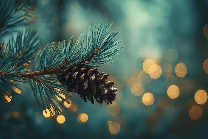 Nuo žvakių iki išmaniųjų šviesų: kas iš tikrųjų slypi už kalėdinių lempučių gaminio?