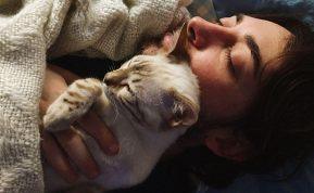 Nustebsite sužinoję, kodėl katės mėgsta savo šeimininkams miegoti ant nugaros