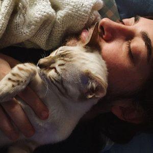 Nustebsite sužinoję, kodėl katės mėgsta savo šeimininkams miegoti ant nugaros