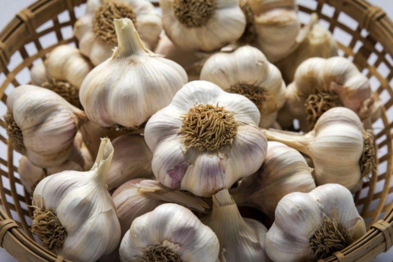 Padvigubinkite česnakų derlių: nepamirškite sodindami į žemę įberti šios medžiagos!