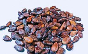 Paimkite šiek tiek arbūzų sėklų ir įmeskite į verdantį vandenį: rezultatas jus nustebins!