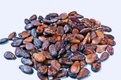 Paimkite šiek tiek arbūzų sėklų ir įmeskite į verdantį vandenį: rezultatas jus nustebins!