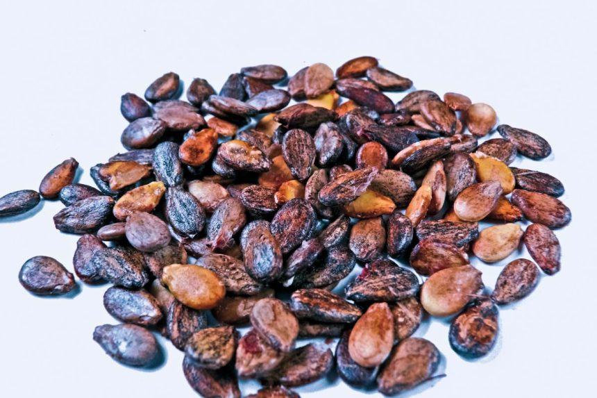 Paimkite šiek tiek arbūzų sėklų ir įmeskite į verdantį vandenį: rezultatas jus nustebins!