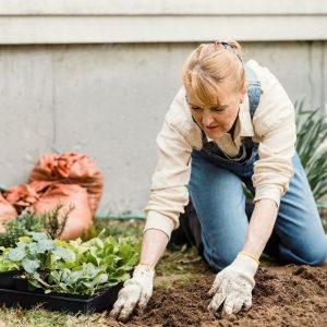 Pasenę sodininkystės patarimai: kurie metodai šiandien jau nebeveikia