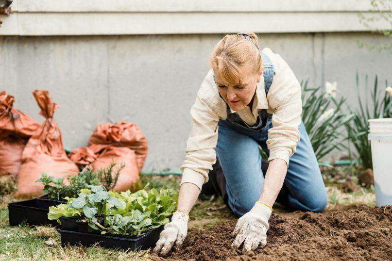 Pasenę sodininkystės patarimai: kurie metodai šiandien jau nebeveikia