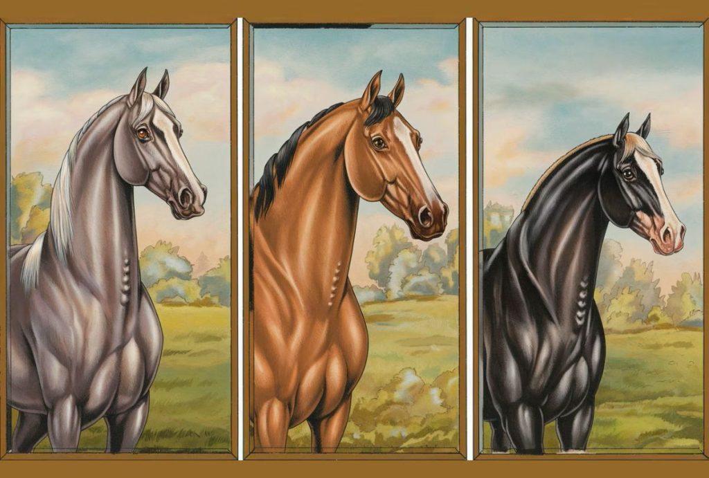 Išsirinkite arklį ir sužinokite, kaip toli galite nueiti gyvenime