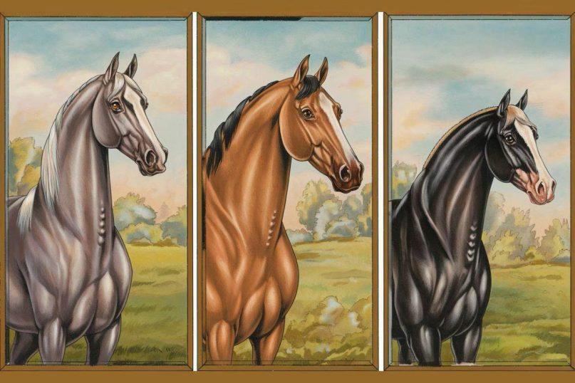 Išsirinkite arklį ir sužinokite, kaip toli galite nueiti gyvenime