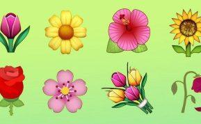 Pasirinkite vieną iš šių gėlių: tai padės sužinoti, kada susituoksite