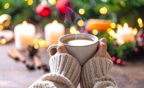 Pasirodo ši gėlė ne tik puošia namus, bet gali būti tikras išsigelbėjimas Jūsų skrandžiui per Kalėdas