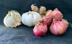 Paslaptingos svogūnų ir česnakų savybės, kurios gali nustebinti: ką reikėtų žinoti šaltuoju sezonu