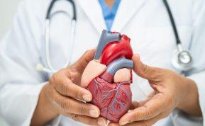 Proveržis diagnostikos srityje: dirbtinis intelektas gali nustatyti širdies priepuolio riziką prieš pasireiškiant simptomams