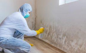 Puikus patarimas, kaip namuose pašalinti drėgmę: pasigaminkite labai veiksmingą drėgmės surinkėją!