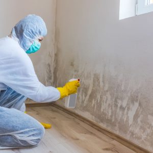 Puikus patarimas, kaip namuose pašalinti drėgmę: pasigaminkite labai veiksmingą drėgmės surinkėją!