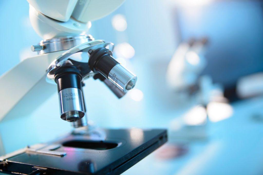 Raupsų diagnozė: kas įvyko?