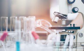 Romanija patvirtino raupsų diagnozę: kas laukia toliau ir kodėl ši liga nėra pavojinga plačiai visuomenei