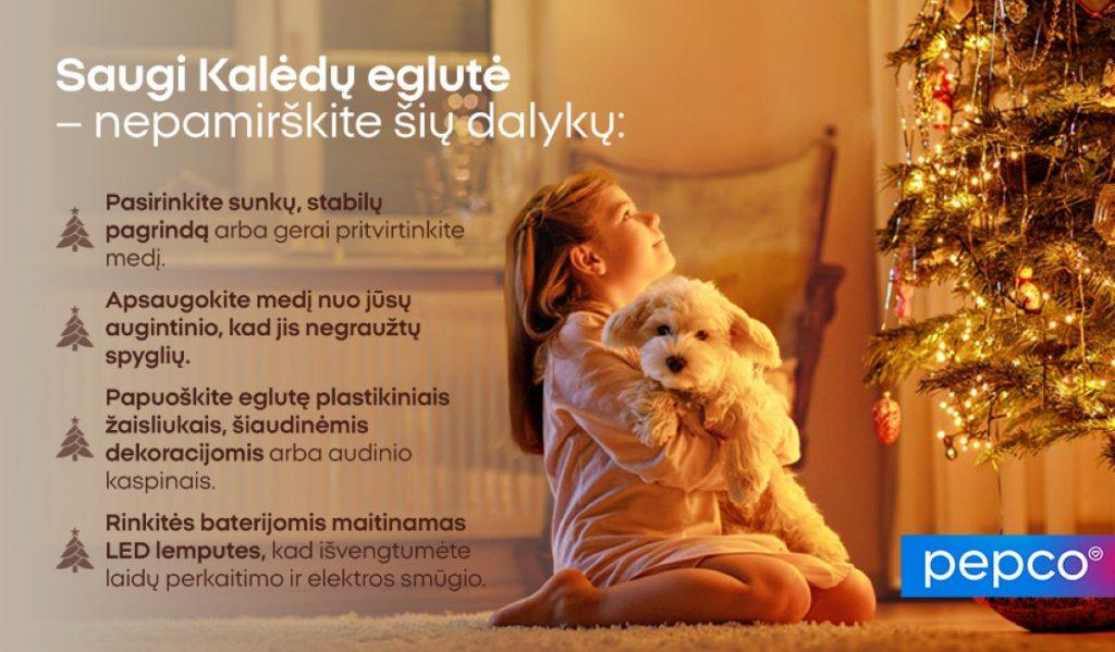 Saugios kalėdinės dekoracijos su šunimi ir kate