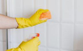 Šios liaudiškos priemonės nuvalo vonios plyteles taip, kad buitinės chemijos nebereikės