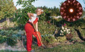 Kaip planuoti sodo darbus pagal Zodiako ženklus