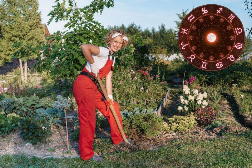 Kaip planuoti sodo darbus pagal Zodiako ženklus