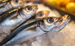 Šokiruojanti tiesa, kurios nežino dauguma: žuvies šviežumas ne visada reiškia, kad ją saugu valgyti