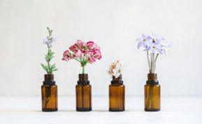 Spalvingos ir interjerą puošiančios gėlės: mažai priežiūros, tačiau tikra namų puošmena.