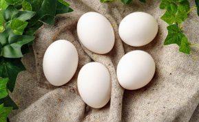 Štai kodėl kiaušinio baltymas nėra toks naudingas, kaip mes manėme.