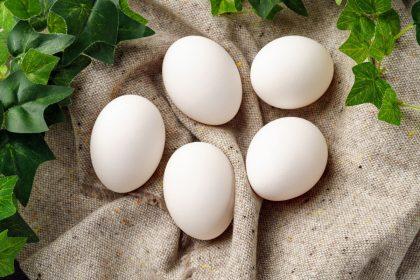 Štai kodėl kiaušinio baltymas nėra toks naudingas, kaip mes manėme.