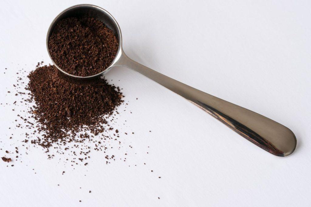 Stebuklinga trąša paparčiams: vos keli natūralūs produktai ir jūsų namuose bus tikros džiunglės. Arbata ir kavos tirščiai