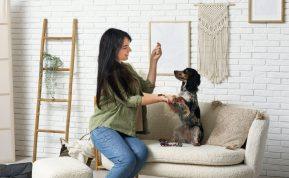 Šunų dresuotojas įvardijo vieną žodį, kurio niekada negalima sakyti šuniukui